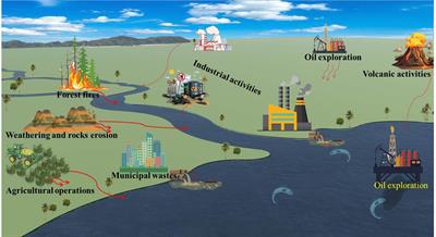 Effect of fish-heavy metals contamination on the generation of reactive oxygen species and its implications on human health: a review